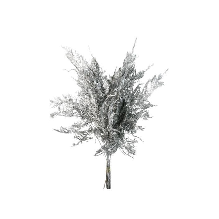 <h4>Bunch Asparagus 10pcs Pres.Slv L40</h4>