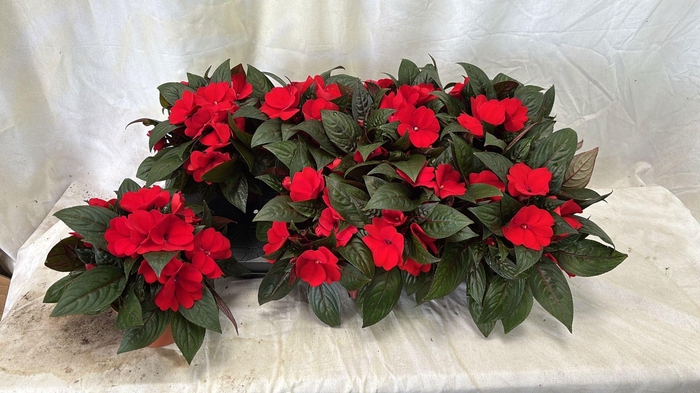 <h4>IMPAT NG OV</h4>