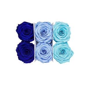 Ro Pres Classic Mix Blue