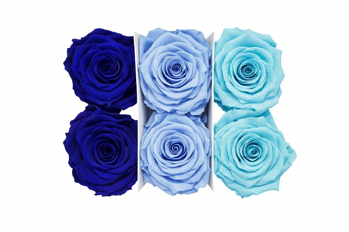 <h4>Ro Pres Classic Mix Blue</h4>