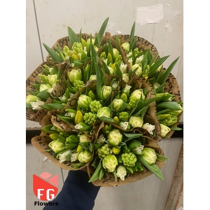 TU DU/Hyac White-Yellow Broodpapier