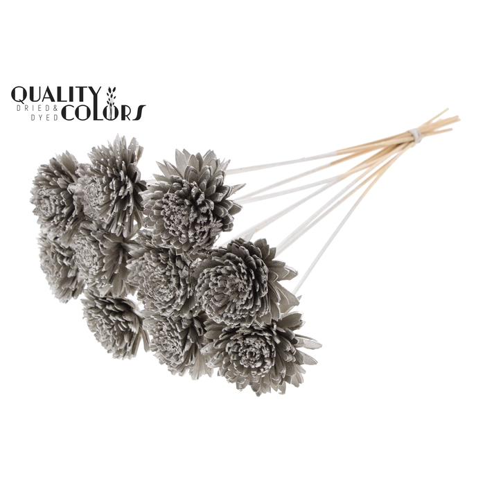 <h4>Shola Zinia Ø8cm on stem Platina</h4>