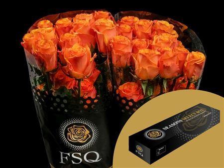 <h4>R Gr Tycoon Box</h4>