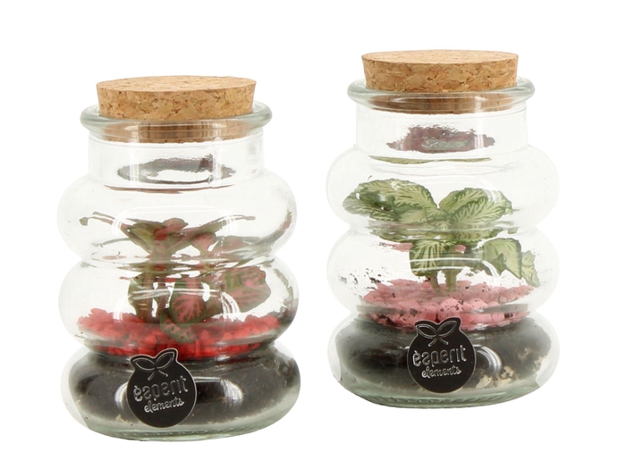 <h4>21796: Lovess terrarium</h4>