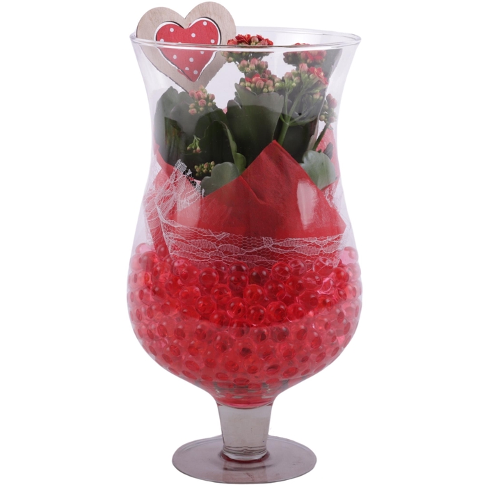 <h4>Valentine Arr. Indoor Glass Cognac Ø17cm 1PP</h4>
