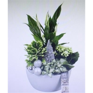 4305 KER WIT SPATH KERST