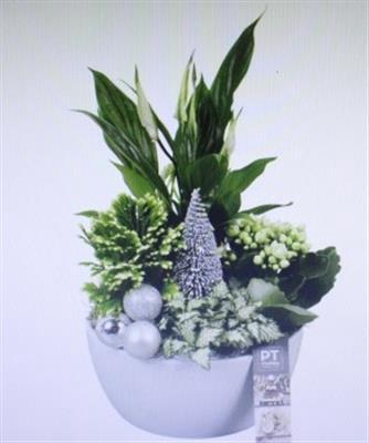 <h4>4305 KER WIT SPATH KERST</h4>