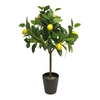 Lemon tree 70cm (12) lemons