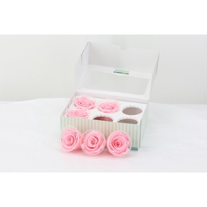 Rosa Preserved  Light Pink