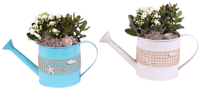 <h4>Opm Maritime Arr. Indoor Zinc Watering Can Fising</h4>