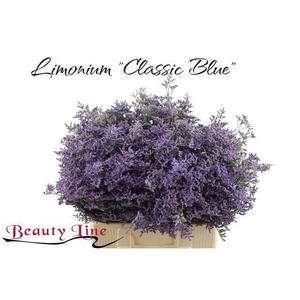 LIM SAF CLASSIC BLUE