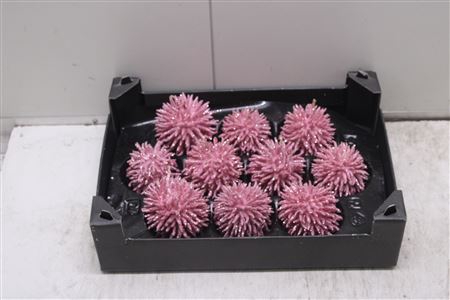 <h4>F-stekel Topline Pastel Roze</h4>