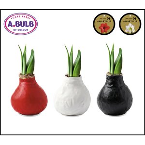 A.BULB of Colour - 36cm Original Waxed Mix