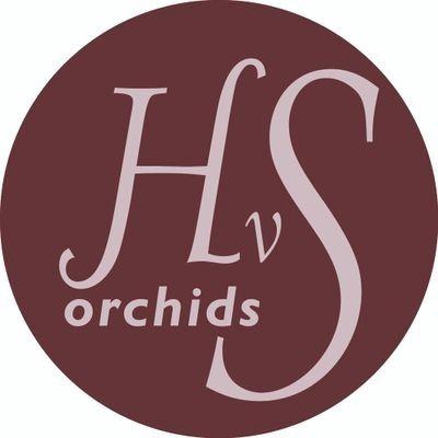 <h4>CYMB T UNIQ DAISY 80 CM</h4>