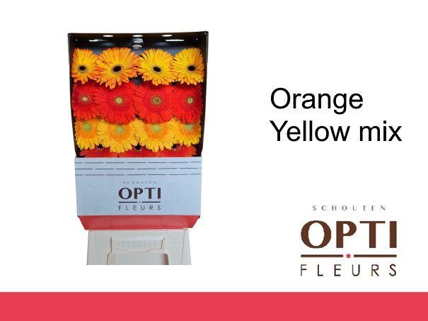 <h4>Gerbera Mix Orange - Yellow Diamond</h4>