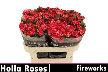 <h4>R Tr Fireworks</h4>