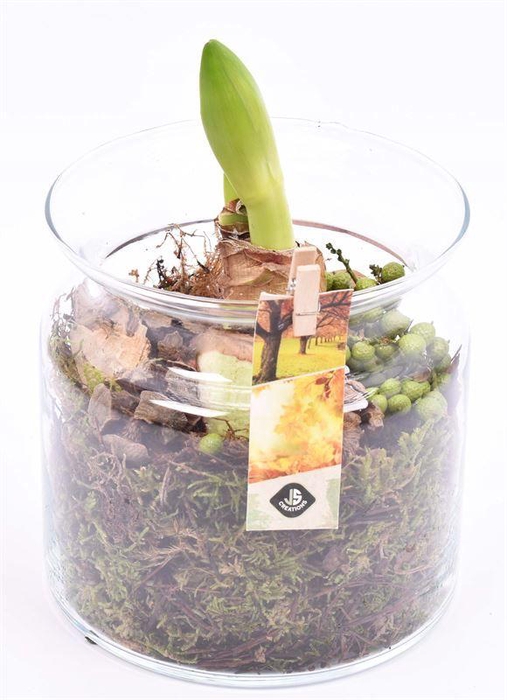 <h4>Glas cilinder met hals 15cm</h4>