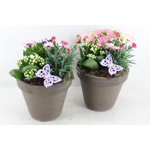 arr4 Outdoor MB - Ker. bloempot choco V2