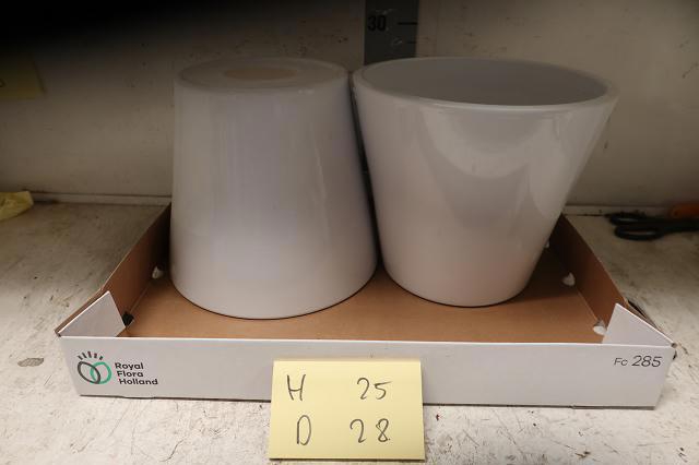 <h4>HUIS EN TUINDECO H%</h4>