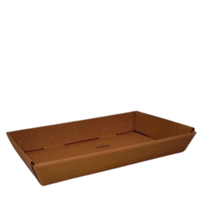 <h4>Sale Tray cardboard 40*26*6cm</h4>