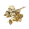 Salal tips mini dried per bunch Gold