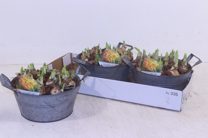 <h4>ARR N TETE A TETE</h4>