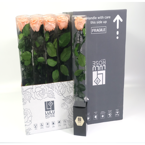 Rosa Preserved Stem 50cm Pearlecent Coral Blush