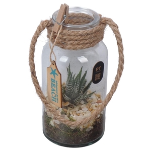 Arr. Planten L%