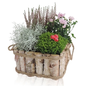 Collectie Anna Arrangement in Houten Bak Vierkant 24 cm