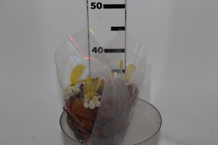 <h4>PLANTA SECA BUQUE VARIADO  SEMENTE AMARELA 40CM</h4>