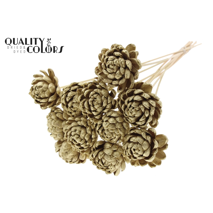 <h4>Shola New Beauty Rose Ø8cm on stem Gold</h4>