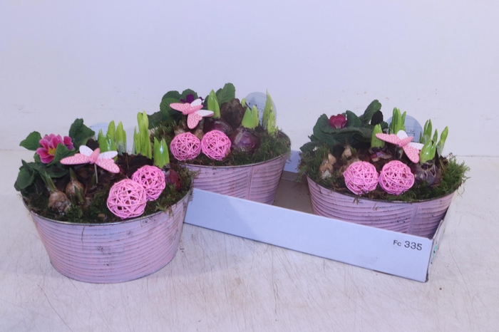 <h4>ARR TUINPLANTEN</h4>