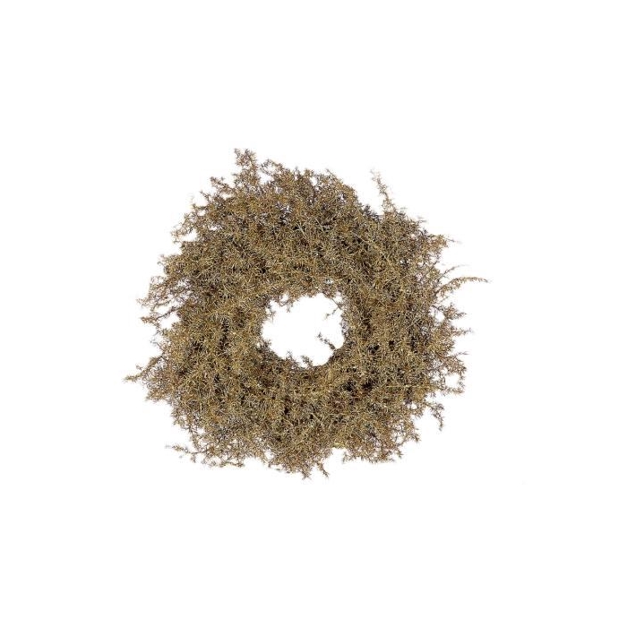 <h4>Wreath Asparagus Glitter D20</h4>