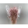 Dried Phalaris Pink Bunch