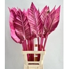 Strelitzia Blad Painted Luxury Cherry@Gold