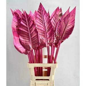 Strelitzia Blad Painted Luxury Cherry@Gold