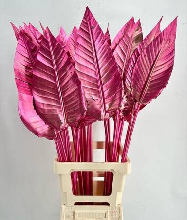 <h4>Strelitzia Blad Painted Luxury Cherry@Gold</h4>