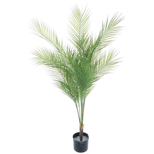 Areca palm in pot green 135cm