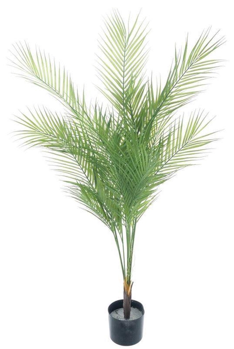 <h4>Areca palm in pot green 135cm</h4>