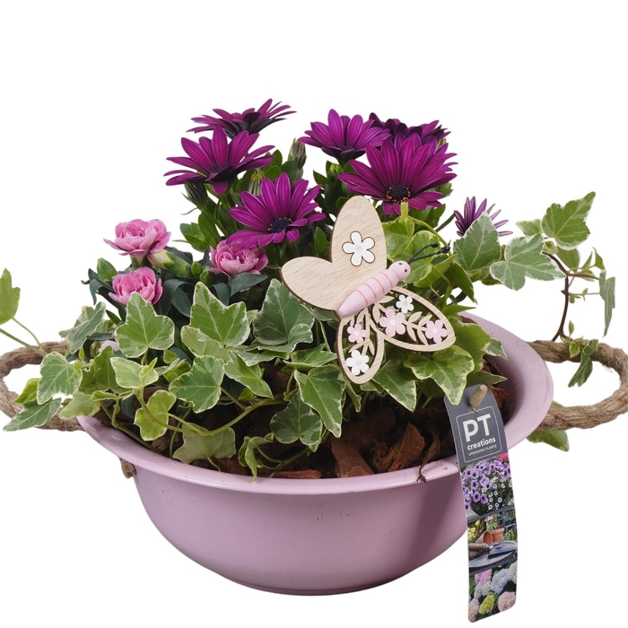 <h4>PTPP6830 Arrangement Patio in metalen schaal</h4>