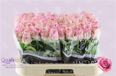 <h4>R GR HEIDI!</h4>