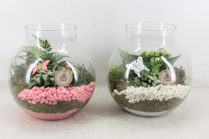 <h4>arr2 PL - Glas bol nek XL - roze/wit</h4>