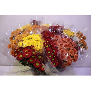 Chr San Gem Herfst Mix X5