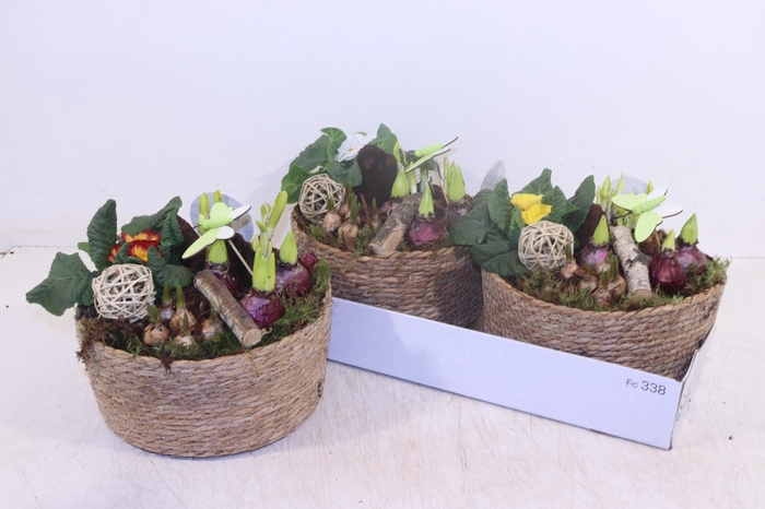 <h4>ARR TUINPLANTEN</h4>