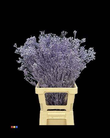 Waxflower Metallic Light Purple