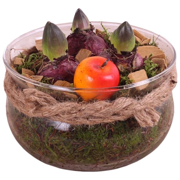 <h4>Bulbs Winter Arr. Hyacint Glass Bowl with Rope Ø16cm 3PP</h4>