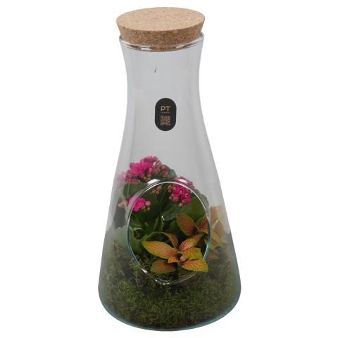 <h4>PTIG2690 Arrangementen kamerplanten</h4>