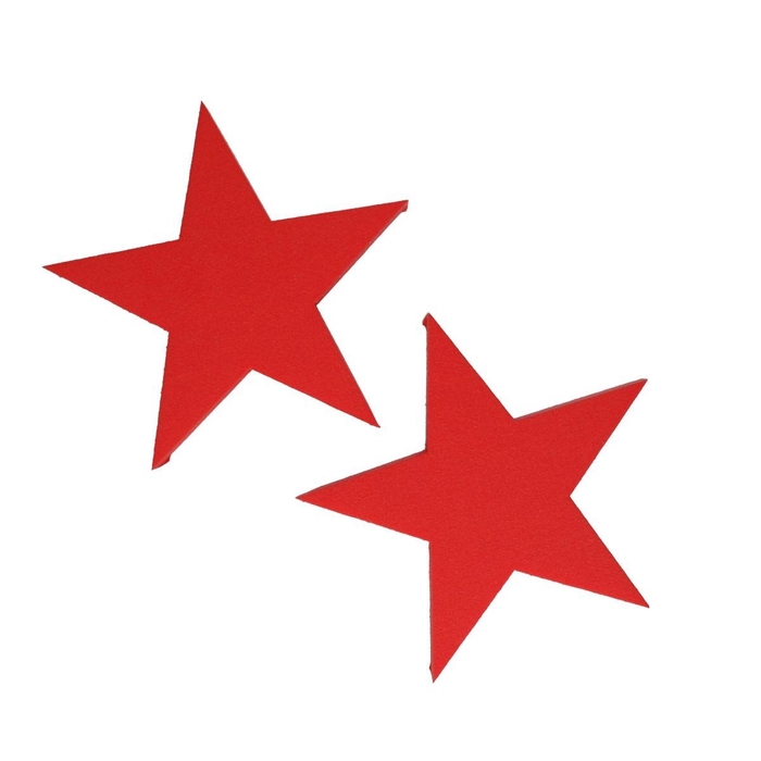 <h4>Oasis Color Star 25cm</h4>