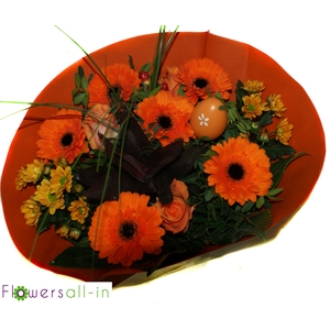 P202305 Oranje