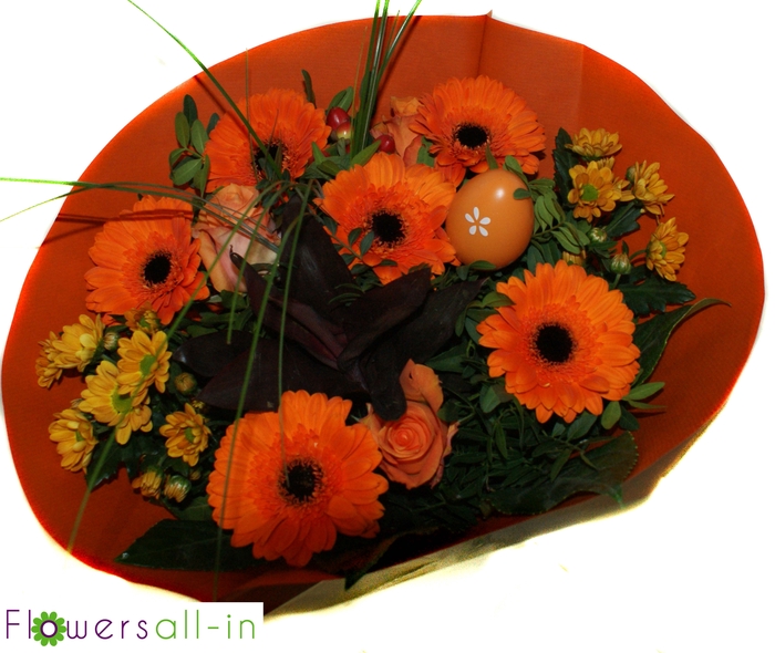 <h4>P202305 Oranje</h4>